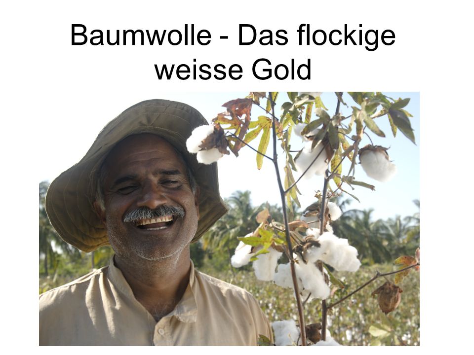 das weiße gold das weiße gold